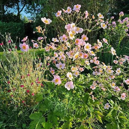 De Oude Smidse - Tuinkamer 홈스테이